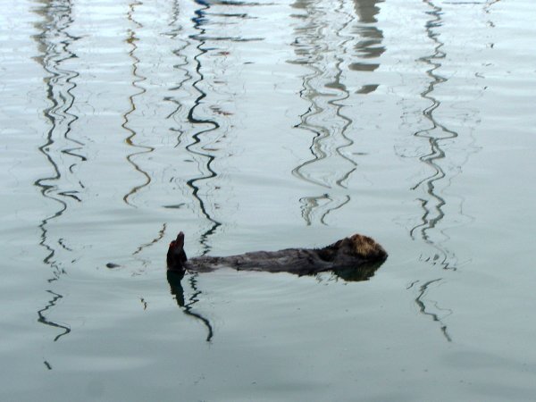 Shhhhh, I'm sleeping